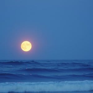 Full moon rising over a calm ocean under a blue twilight sky.